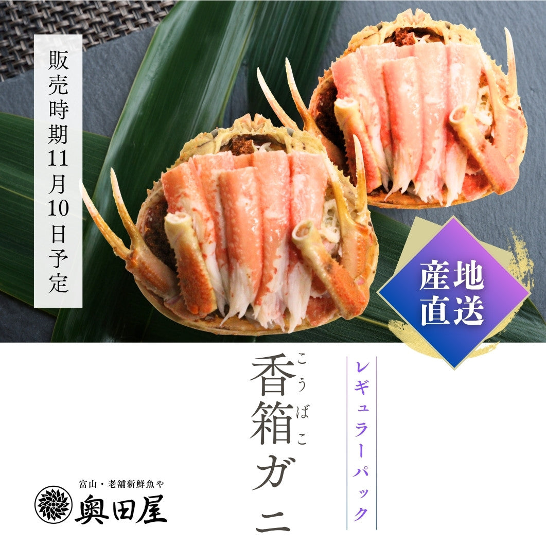 冬の味覚の女王｜香箱ガニ甲羅盛り｜旬の美味しさを産地直送でお