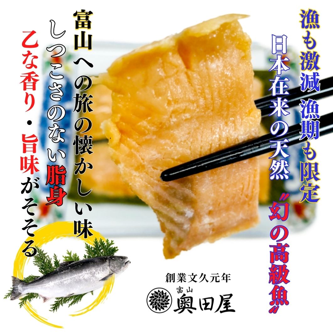 サクラマス昆布締め［天然・本鱒］【冷凍品：全国配送可