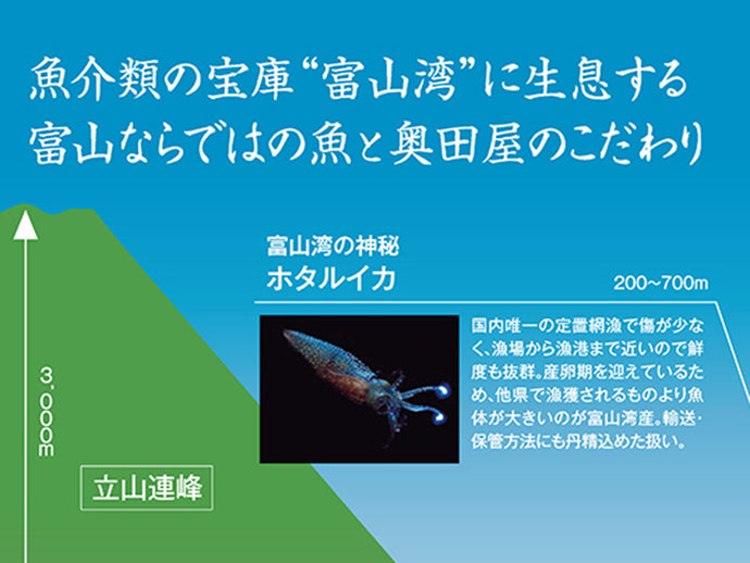 魚介類の宝庫“富山湾”に生息する富山ならではの魚