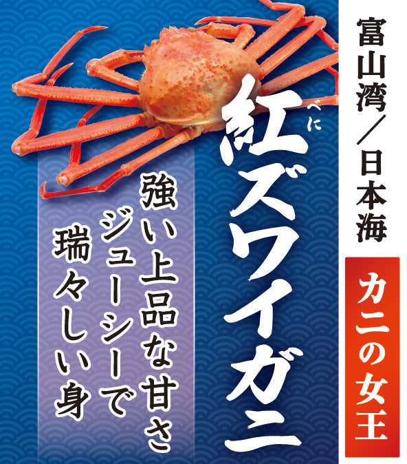 【紅ズワイガニ⑴】紅ズワイガニ漁解禁・富山産ブランド「高志の紅ガニ」とは？