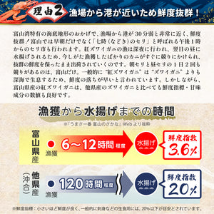 高志の紅ガニ（紅ズワイガニ）棒肉（棒身・むき身） ［レギュラーパック目安：350～400g］【冷蔵品】≪ご自宅用：ご注文者本人宅への配送限定≫