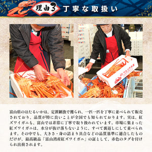 高志の紅ガニ（紅ズワイガニ）棒肉（棒身・むき身） ［レギュラーパック目安：350～400g］【冷蔵品】≪ご自宅用：ご注文者本人宅への配送限定≫
