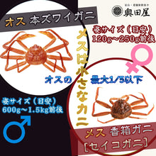 画像をギャラリービューアに読み込む, 香箱ガニ甲羅盛り［プレお試し徳用パック： 4ハイ入］【冷蔵品】≪ご自宅用：ご注文者本人宅への配送限定≫（他地域名：セイコガニ・セコ蟹・親がに・コッペガニ）