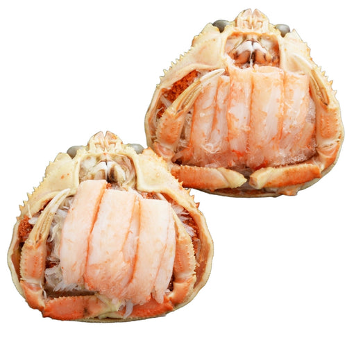 香箱ガニ甲羅盛り［プレお試しエコパック：2ハイ入］【冷蔵品】≪ご自宅用：ご注文者本人宅への配送限定≫（他地域名：セイコガニ・セコ蟹・親がに・コッペガニ）