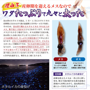 ほたるいかキムチ 極上［1セット:2ケース］〖冷凍品〗