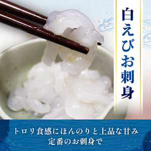 白えび お刺身2種セット〔お刺身・おぼろ昆布締め〕＜ギフト箱入＞［直販限定内容量］［2024年白えび漁解禁：新物手むき］