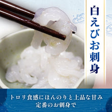 画像をギャラリービューアに読み込む, 富山湾産 白えび 姿・刺身・おぼろ昆布締め 3種セット ギフト箱入 冷凍