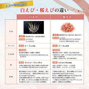 白えび 姿（殻付き）［調理向き］［2024年白えび漁解禁：新物］