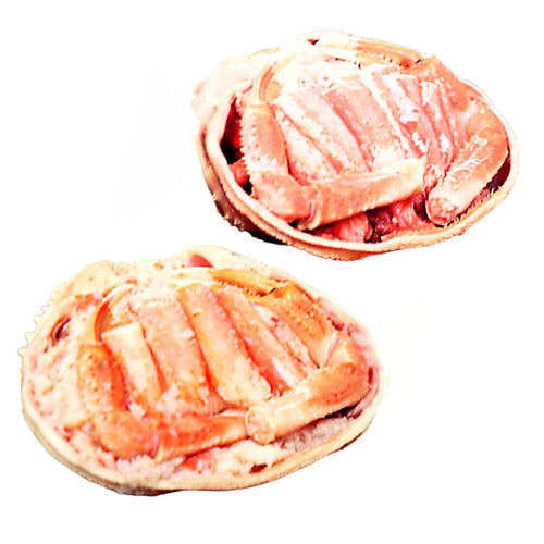 香箱ガニ甲羅盛り［レギュラーパック：2ハイ入］【冷蔵品】≪ご自宅用：ご注文者本人宅への配送限定≫（他地域名：セイコガニ・セコ蟹・親がに・コッペガニ）