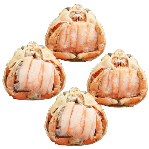 香箱ガニ甲羅盛り［プレお試し徳用パック： 4ハイ入］【冷蔵品】≪ご自宅用：ご注文者本人宅への配送限定≫（他地域名：セイコガニ・セコ蟹・親がに・コッペガニ）
