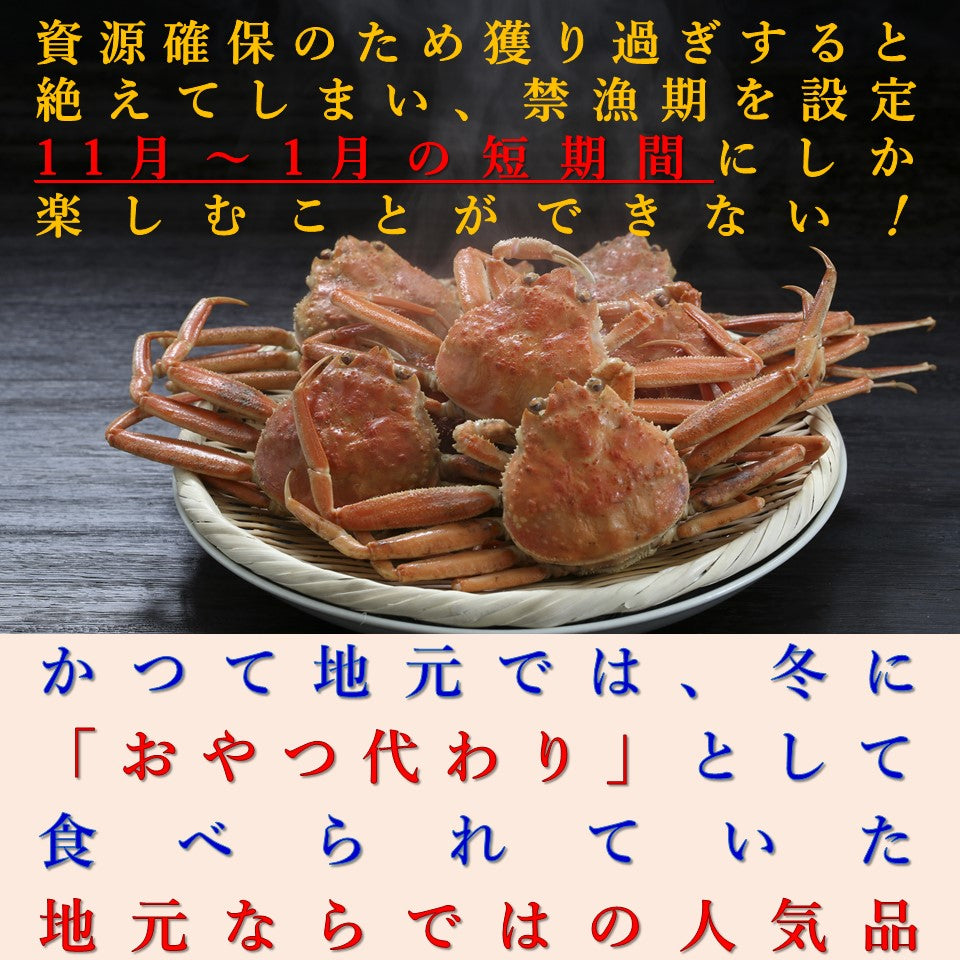 数量限定1点】 香箱ガニ甲羅盛り 4ハイ＜通常商品より小さい＞【12月8