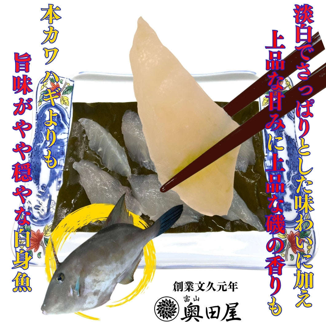 ウマヅラハギ まとめ売り 天然カワハギ（ウマヅラハギ）昆布締め〖冷凍品〗≪贈答用推奨≫｜五代