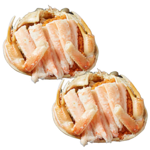 香箱ガニ甲羅盛り［レギュラーパック：2ハイ入］〔候補日A：次週〕【冷蔵品】≪ご自宅用：ご注文者本人宅への配送限定≫（他地域名：セイコガニ・セコ蟹・親がに・コッペガニ）