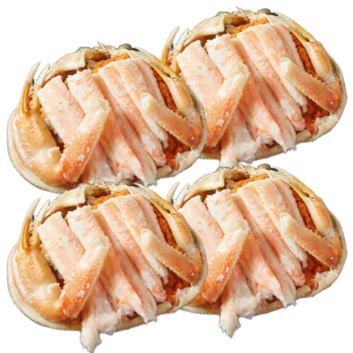 香箱ガニ甲羅盛り［ファミリーパック：4ハイ］〔候補日A：次週〕【冷蔵品】≪ご自宅用：ご注文者本人宅への配送限定≫（他地域名：セイコガニ・セコ蟹・親がに・コッペガニ）