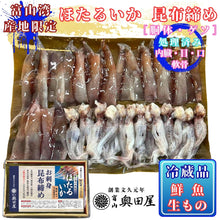 画像をギャラリービューアに読み込む, ほたるいか昆布締め［胴体・竜宮そうめん（ゲソ）］【冷蔵品】［内臓・目・口・軟骨処理済み］≪ご自宅用：ご注文者本人宅への配送限定≫