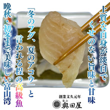 画像をギャラリービューアに読み込む, キジハタ昆布締め ［アコウ］〖冷凍品〗≪包装熨斗対応可≫