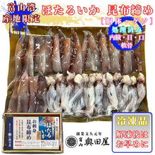 画像をギャラリービューアに読み込む, ほたるいか昆布締め［胴体・竜宮そうめん（ゲソ）］〖冷凍品〗［内臓・目・口・軟骨処理済み］≪包装熨斗対応可≫