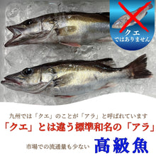 画像をギャラリービューアに読み込む, アラ昆布締め ［キツネ］〖冷凍品〗≪包装熨斗対応可≫