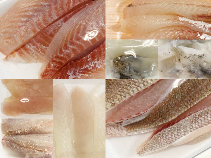 富山湾の産直鮮魚BOX　お任せ2万円コース［下処理：柵どり］