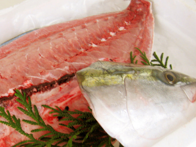 ひみ寒ぶり 2枚おろしの片身＜半身＞ ［1尾8kg～9kg台の片身＜半身＞］　【生鮮・生もの・冷蔵】　（宣言期間外：氷見寒ブリ）