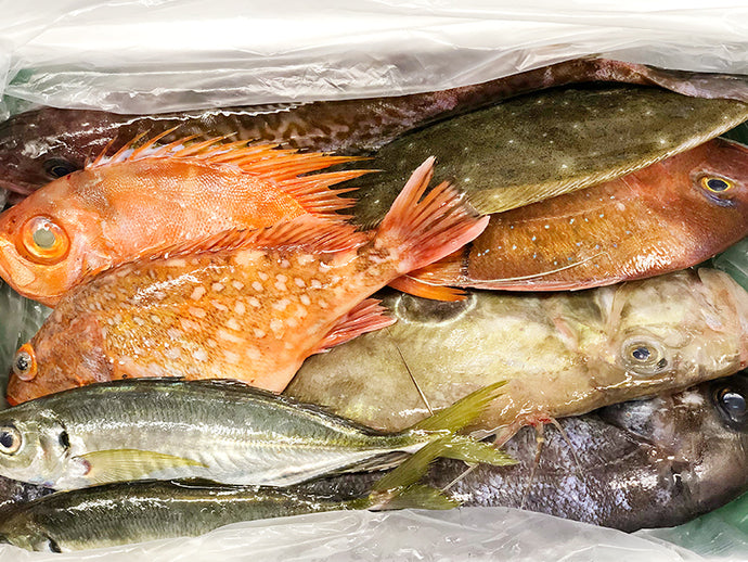 富山湾の産直鮮魚BOX　お任せ2万円コース［姿そのまま］