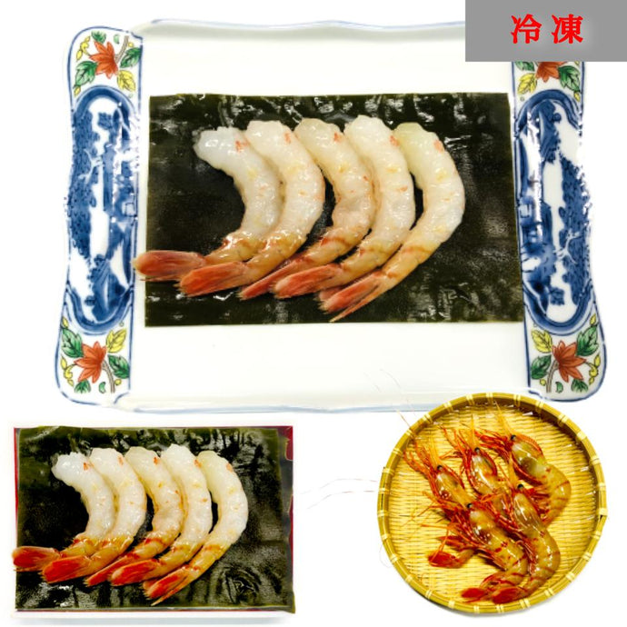 トヤマエビ昆布締め［数量限定］〖冷凍品〗