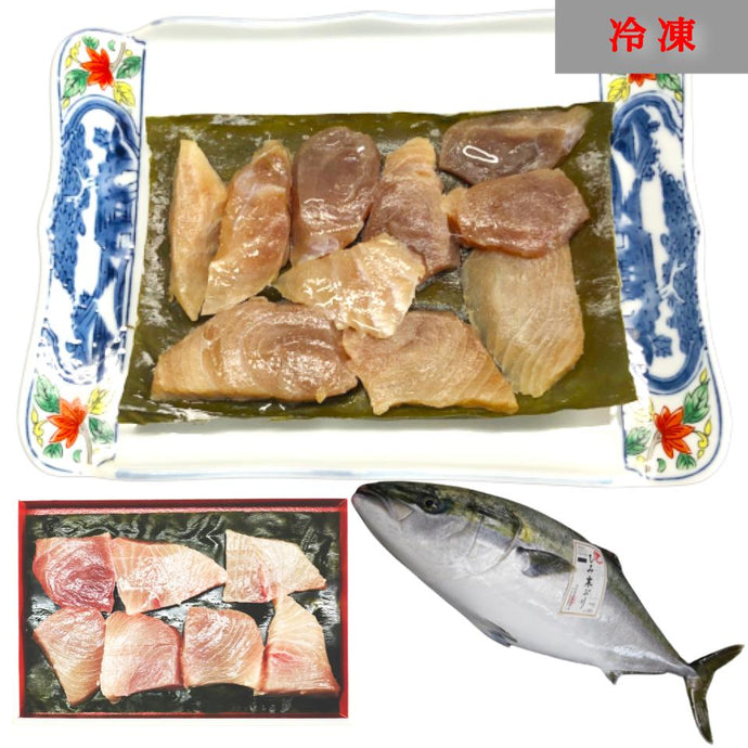 氷見ブリ昆布締め ［氷見寒ブリ］〖冷凍品〗